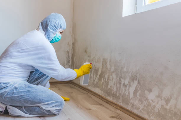 Commercial Mold Remediation assessment for commercial property in Hallwood
