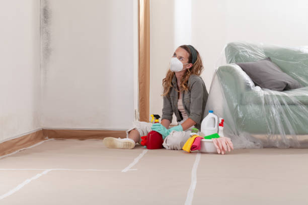 Mold Removal service in Hallwood