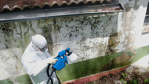Mold Remediation service in Hallwood, Hallwood, VA
